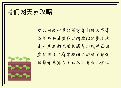 哥们网天界攻略